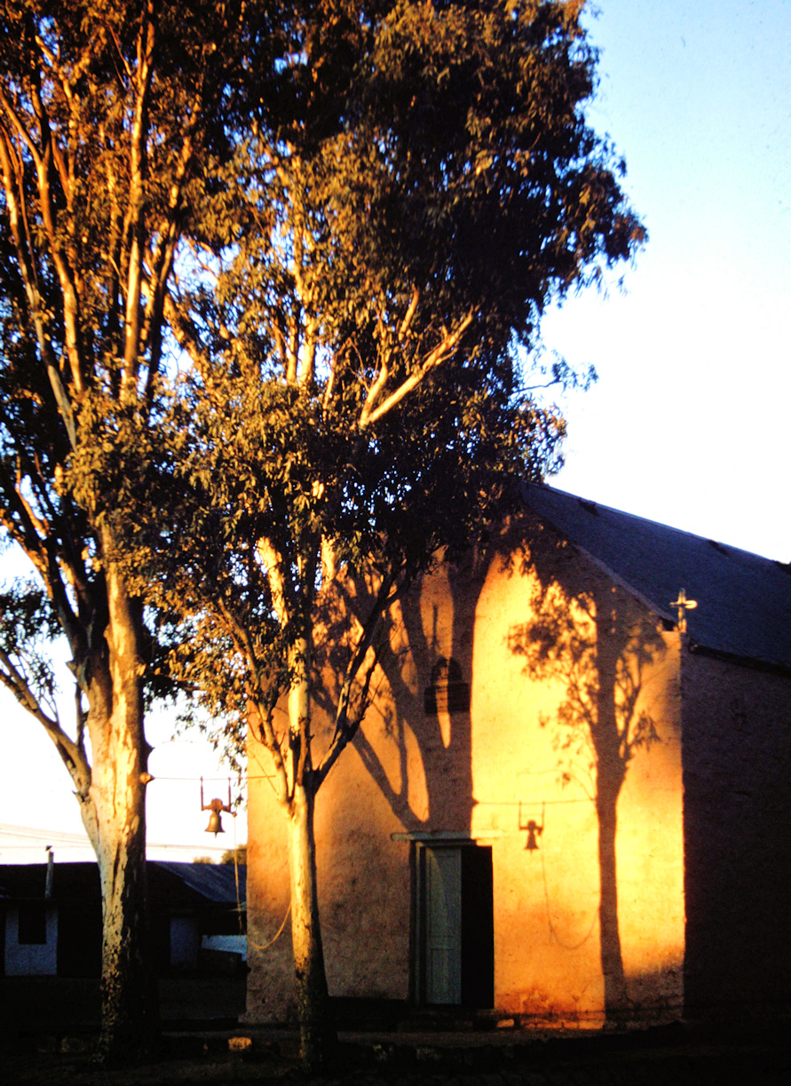 Evening Shadows. – Mrs T